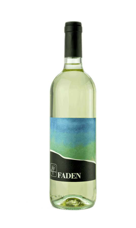 FADEN nuova annata